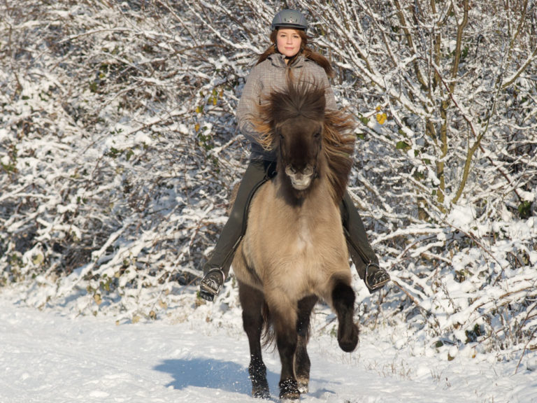 Reiten im Schnee im Pfälzer Wald