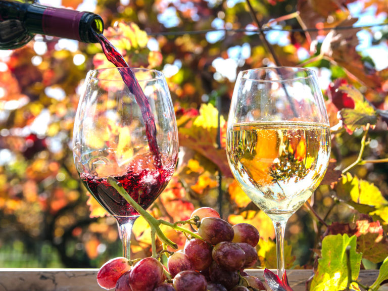 Weinprobe Deutsche Weinstrasse