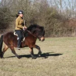 Beritt durch Bärbel von Erden