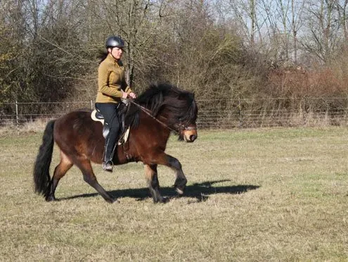 Beritt durch Bärbel von Erden