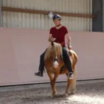 Einhändig Reiten