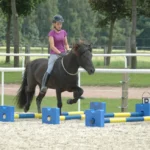 Reiten ohne Kopfstück