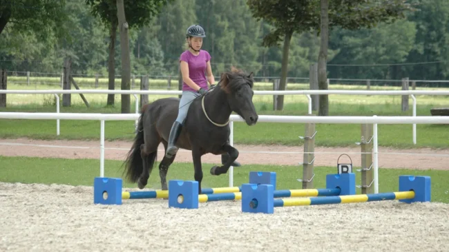 Reiten ohne Kopfstück