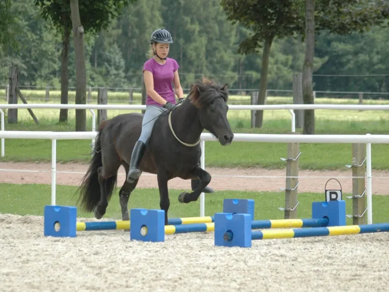 Reiten ohne Kopfstück